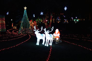 Chicago, Amerika Birleşik Devletleri. 31 Aralık 2016. Lincoln Park Zoo Chicago, New Years Eve parlak ekrana yol.