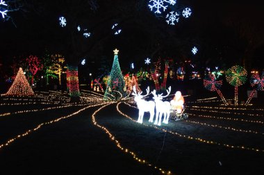 Chicago, Amerika Birleşik Devletleri. 31 Aralık 2016. Lincoln Park Zoo Chicago, New Years Eve parlak ekrana yol.