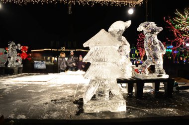 Chicago, Amerika Birleşik Devletleri. 31 Aralık 2016. Lincoln Park Zoo Chicago, New Years Eve parlak ekrana yol.