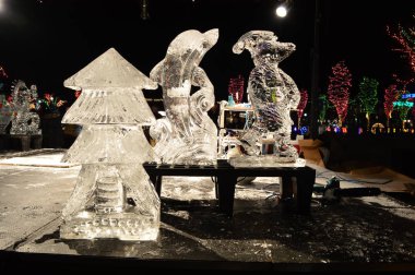 Chicago, Amerika Birleşik Devletleri. 31 Aralık 2016. Lincoln Park Zoo Chicago, New Years Eve parlak ekrana yol.