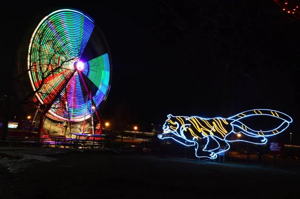 Chicago, Estados Unidos. 31 de diciembre 2016. Para caminar a través de la pantalla luminosa en la víspera de Año Nuevo en Lincoln Park Zoo en Chicago . —  Fotos de Stock