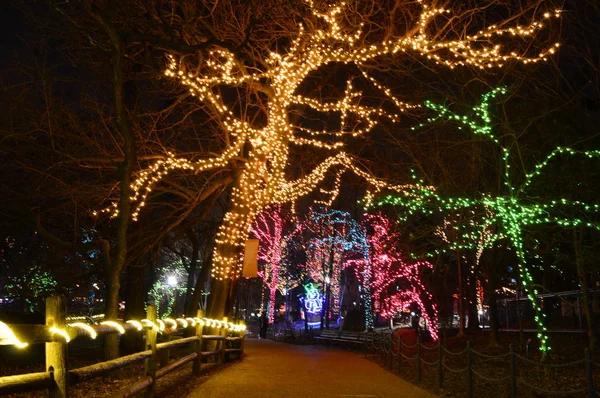 Chicago, Stany Zjednoczone Ameryki. 31 grudnia 2016 roku. Przejść przez podświetlany wyświetlacz w Sylwestra w Lincoln Park Zoo w Chicago. — Zdjęcie stockowe