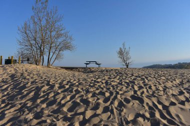 Hollanda Devlet Parkı
