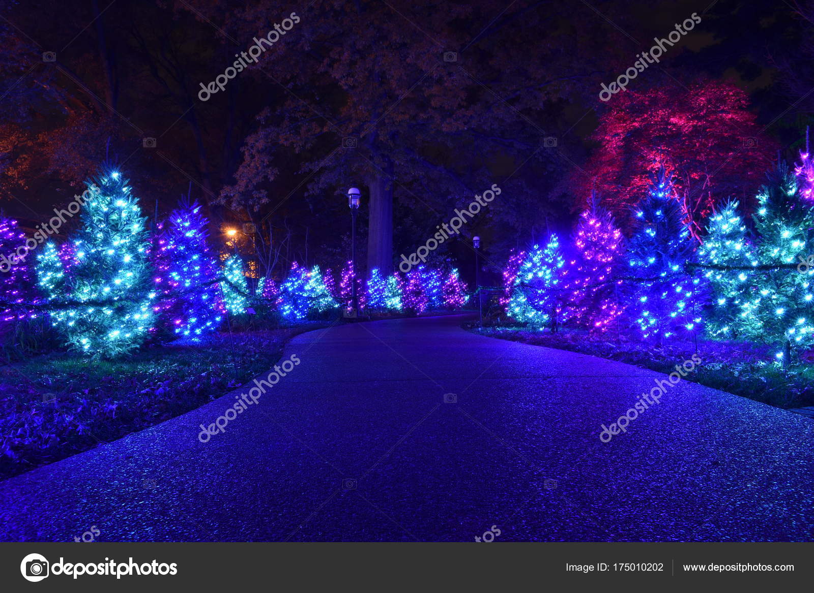 St Louis Missouri Usa Nov 22 2017 Annual Garden Glow At The