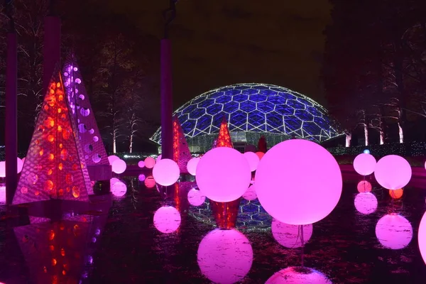 St Louis, Missouri, Stati Uniti - 22 novembre 2017: Luci del giardino magico — Foto Stock