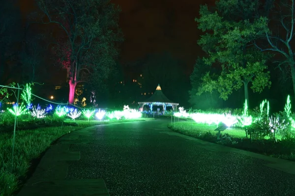 St Louis, Missouri, Stati Uniti d'America - 22 novembre 2017: Luce di festa del bagliore del giardino — Foto Stock