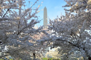 Washignton Dc, Columbia, Amerika Birleşik Devletleri - 11 Nisan 2015: Anıtlar 