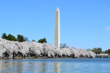 Washington Dc, Columbia, Amerika Birleşik Devletleri - 11 Nisan 2015: Washington-Dc-Mon