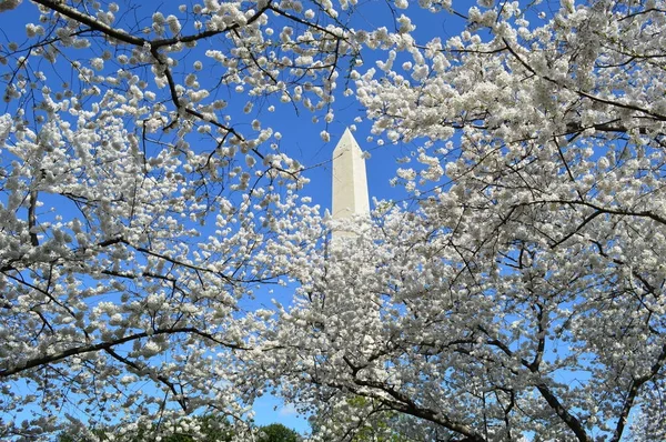 Washignton Dc, Columbia, Usa - April 11, 2015: Washington-Dc-Mon — Stockfoto