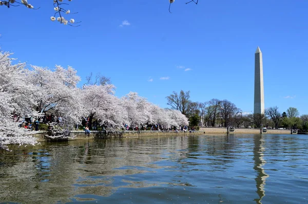 Washington DC, Columbia, États-Unis - 11 avril 2015 : vue de Washingto — Photo