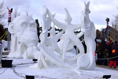 Breckenridge, Colorado, ABD: Ocak 28, 2018:2018 takım Wisconsin-Vogt: 