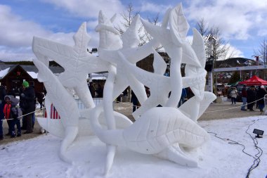 Breckenridge, Colorado, ABD: 28 Ocak 2018: Wisconsin - Vogt takım: 