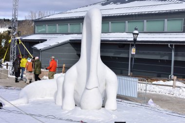 Breckenridge, Colorado, ABD: 28 Ocak 2018: takım Eastonia: 