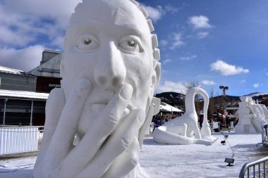 Breckenridge, Colorado, ABD: Ocak 28, 2018:Team Türkiye sundu: 