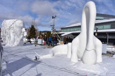 Breckenridge, Colorado, ABD: 28 Ocak 2018: takım Eastonia: 
