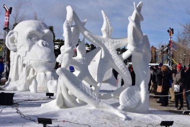 Breckenridge, Colorado, ABD: 28 Ocak 2018: Wisconsin - Vogt takım: 