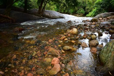Tamilnadu 'daki Kurangani Kottakudi Nehri