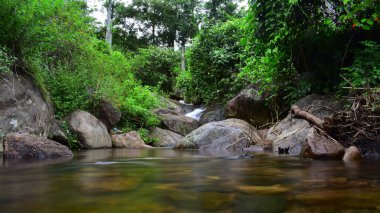Tamilnadu 'daki Kurangani Kottakudi Nehri