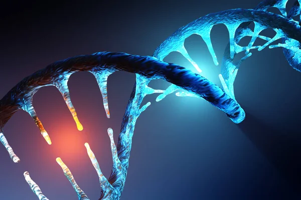 Bundel van DNA Stockfoto