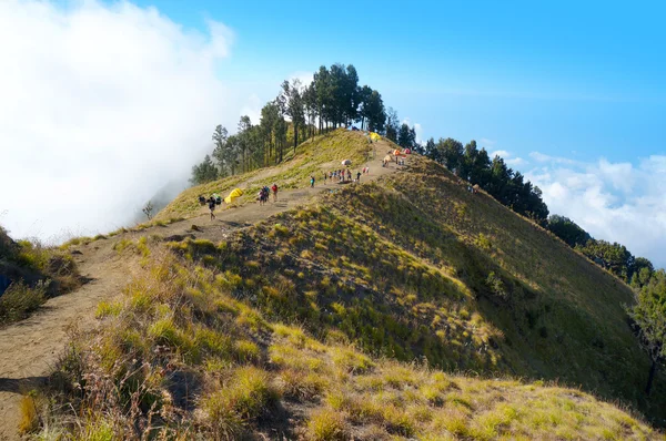 Accampamento del sembalun pelawangan — Foto Stock