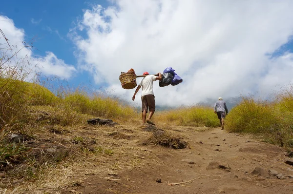 Back view Rinjani mount porter — Stock Photo, Image