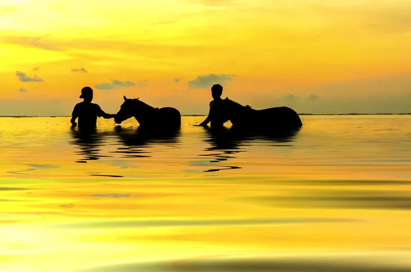 Two shepherds playing with horse during sunset — Stock Photo, Image