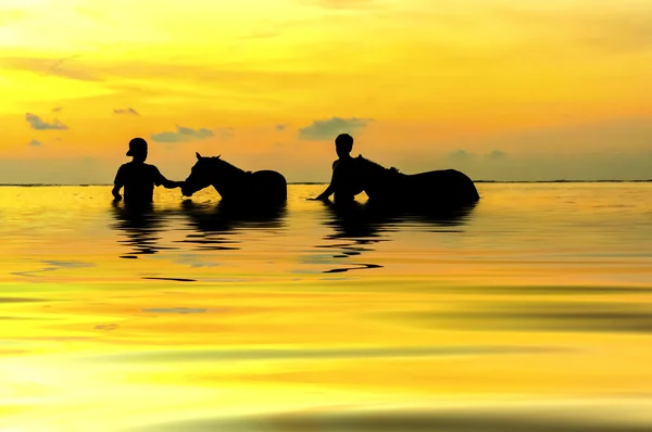 Два пастуха играют с лошадьми на закате Стоковая Картинка