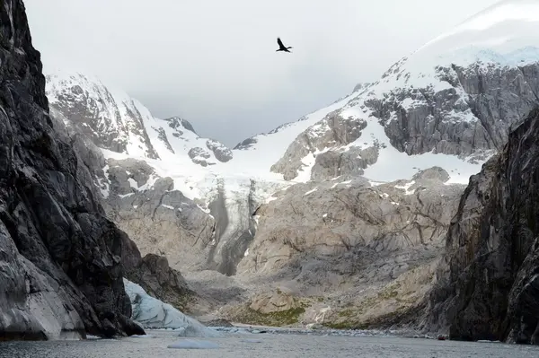 Glacier Nena dans l'archipel de la Terre de Feu . — Photo