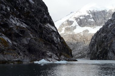  Nena buzul Tierra del Fuego adalar.
