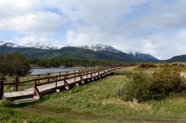  Defne Lapataia içinde Milli Parkı, Tierra del Fuego.