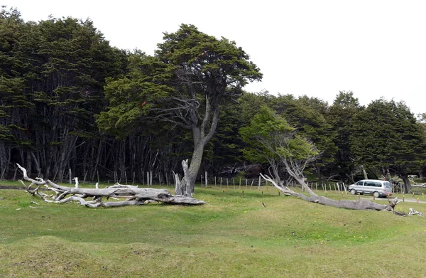 El Parque Nacional Tierra del Fuego . —  Fotos de Stock