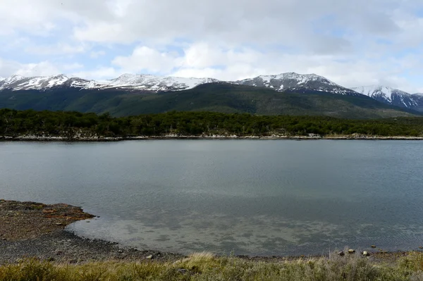 stock image  Bay Lapataia in the national Park of Tierra del Fuego.