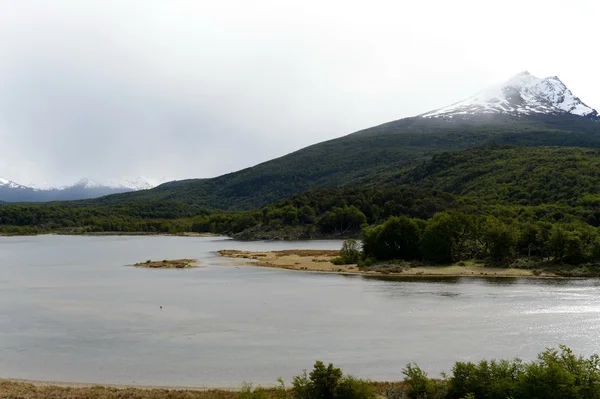 Baie Lapataia dans le parc national de la Terre de Feu . — Photo