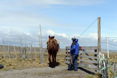 Gaucho Tierra del Fuego.