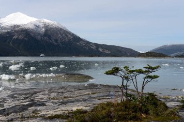  Tierra del Fuego adalar buzulda Pia.