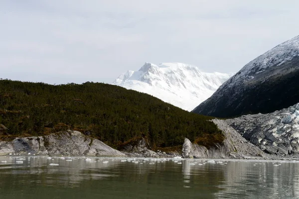 Geleira Pia no arquipélago de Tierra del Fuego . — Fotografia de Stock