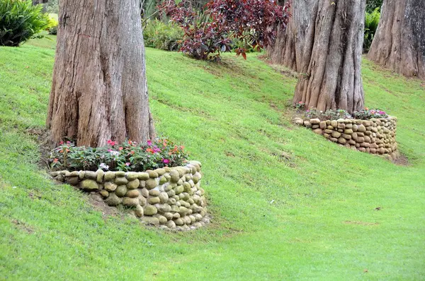 努瓦拉埃利亚酒店园林绿化. — 图库照片