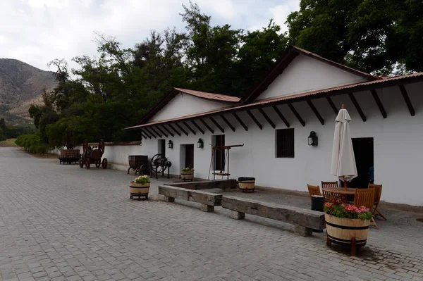  Şili şaraphane Santa Rita.