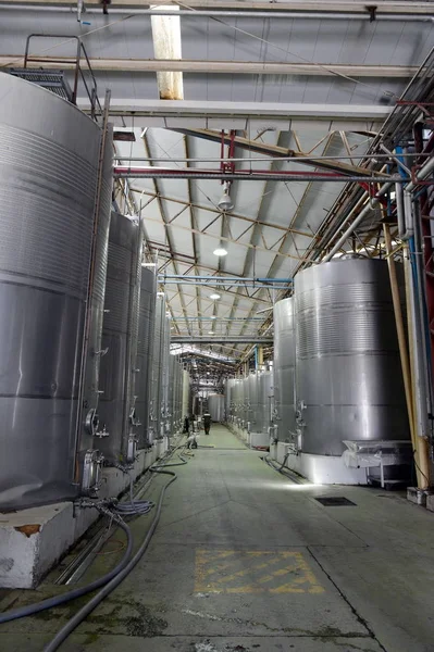 Fermentation in stainless steel vats for wine at the winery Santa Rita. — Stock Photo, Image