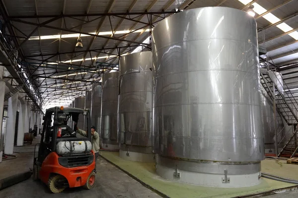 Fermentation in stainless steel vats for wine at the winery Santa Rita. — Stock Photo, Image