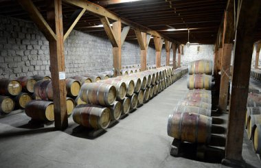  Şarap fıçıları, şaraphane Santa Rita.