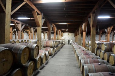  Şarap fıçıları, şaraphane Santa Rita.