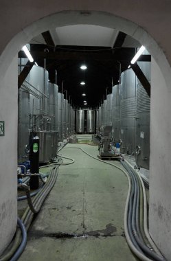  Şaraphane Santa Rita, fermantasyon Odaya.