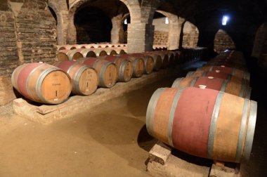  Şarap fıçıları, şaraphane Santa Rita.