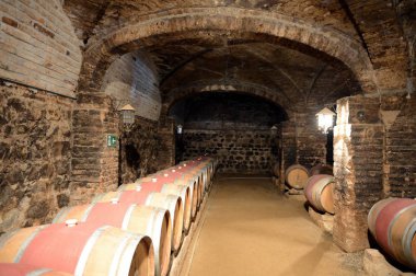  Şarap fıçıları, şaraphane Santa Rita.