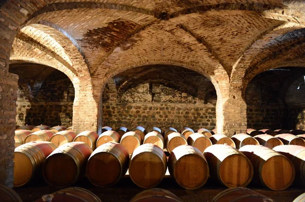 Wine barrels at the winery Santa Rita. — Stock Photo, Image