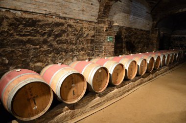  Şarap fıçıları, şaraphane Santa Rita.