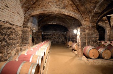 Şarap fıçıları, şaraphane Santa Rita.