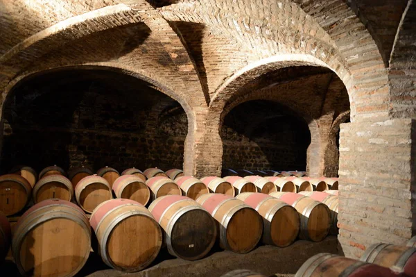  Şarap fıçıları, şaraphane Santa Rita.