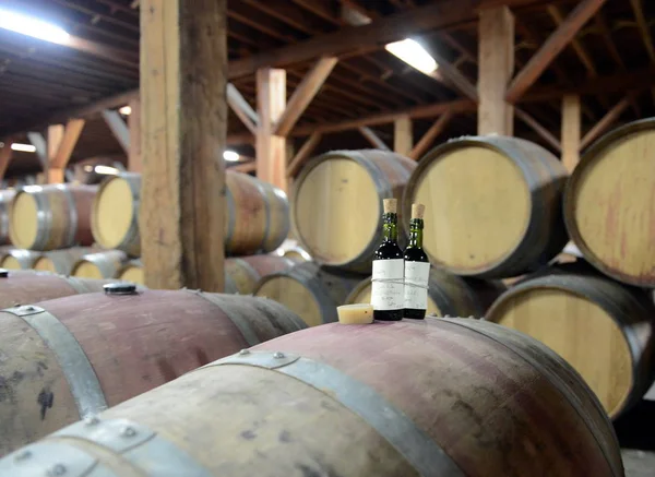 Minőség-ellenőrzés, a bor, a pincészet Santa Rita. — Stock Fotó